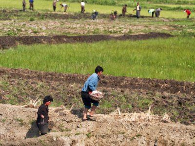 Rural DPRK scene