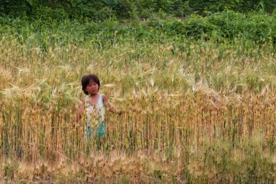 Rural DPRK