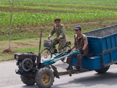 Motorized cart and bike