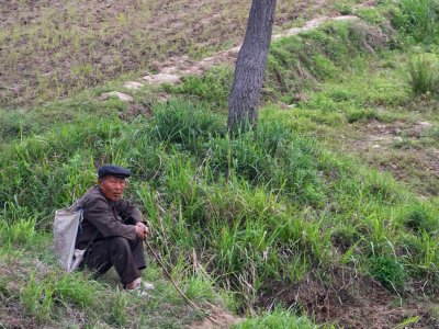 Elderly man resting on farm