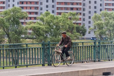 Elderly man on bike, Pyongyang