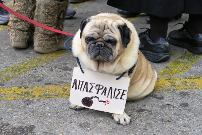 Athens Protest Dog February 2016