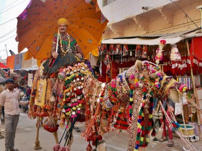 Camel festival, Pushkar, India