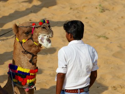 Standoff, Pushkar, India