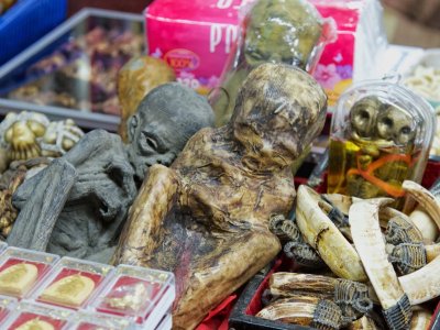 Amulet market, Bangkok, Thailand