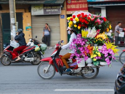 Flower delivery, Hanoi, Vietnam