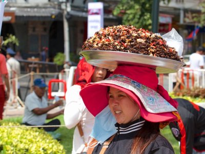 Fried insect vendor, Phnom Penh, Cambodia