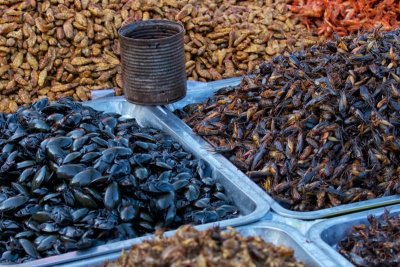 Various insects for eating, Cambodia