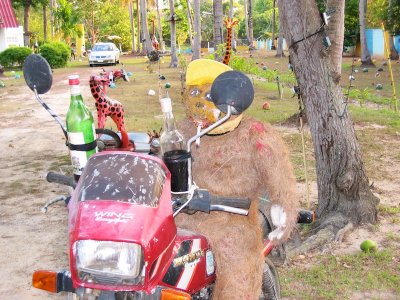 More drunk monkeys on motorbikes, Phuket, Thailand