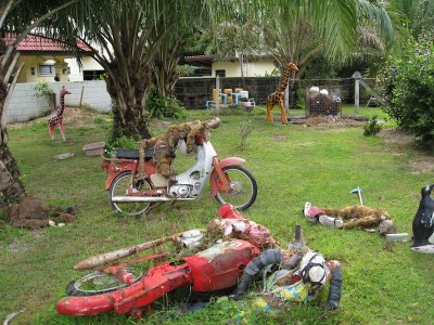 More drunk monkeys on motorbikes, Phuket, Thailand