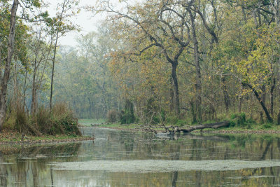Chitwan
