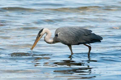 DSC_2021.jpg