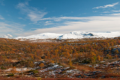 DSC_2802.jpg