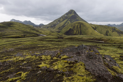 _DSC4576.jpg