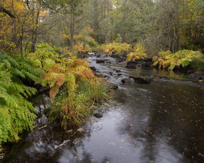 _DSC1551.jpg