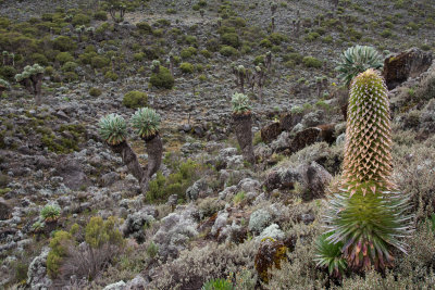 _DSC2622.jpg