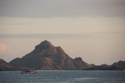 Komodo