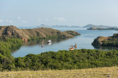 Rinca Komodo NP