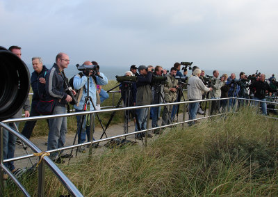 Lesser Spotted Eagle, 25-Sep-2005