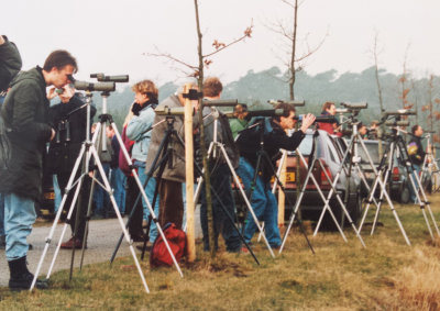 Great Bustard, 26 February 1994