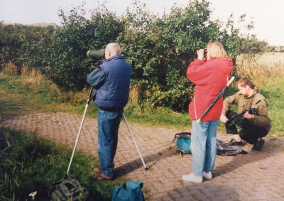 Rustic Bunting, 1 October 1994