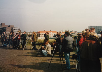 Desert Warbler, 8 October 1994