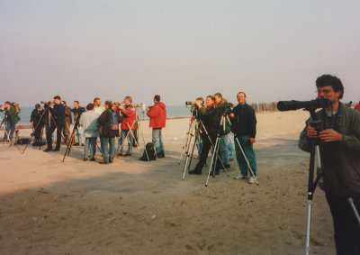 Desert Wheatear, 9 Oct 1994