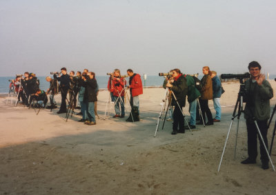 Desert Wheatear, 9 Oct 1994