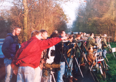 Lesser Scaup, 3 Dec 1994