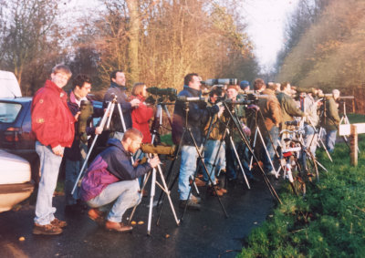 Lesser Scaup, 3 Dec 1994