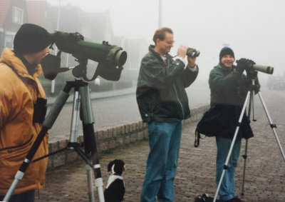 Black Guillemot, 14-Jan-1995