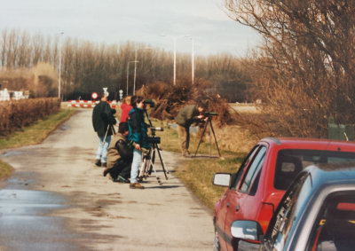 Stone Curlew, 31-Mar-1996