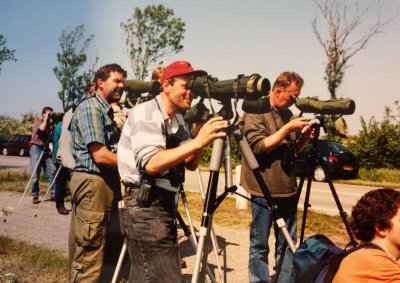 Eastern Black-eared Wheatear, 02-June-1996 