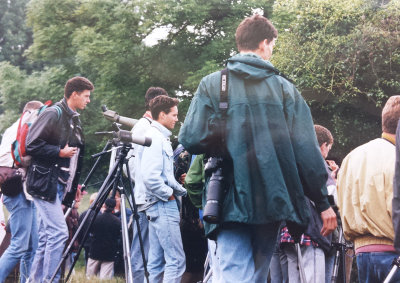 Blyth's Reed Warbler, 22-June-1996