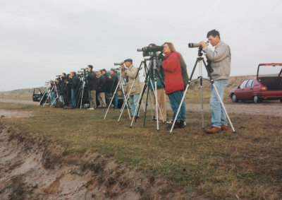 Isabelline Wheatear, 22-Oct-1996