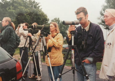 Oriental Pratincole, 02-Aug-1997