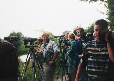 Stilt Sandpiper, 24-Jul-1998