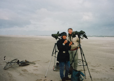 Forster's Tern, 14-Nov-1999 