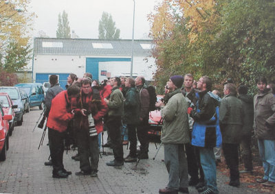 Western Orphean Warbler, 30-Oct-2003