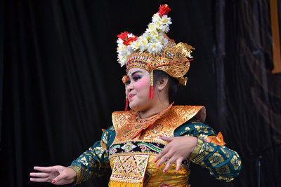 DSC_3234a.jpg
