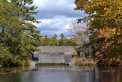 DSC_0168a.jpg