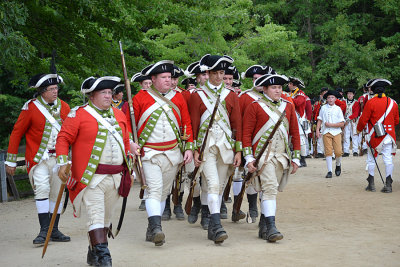 DSC_2642a.jpg