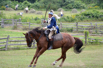 DSC_2478a.jpg