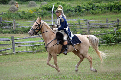 DSC_2488a.jpg