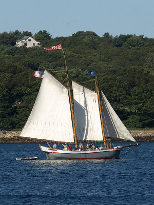 P9066572a.jpg