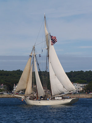 P9043014a.jpg