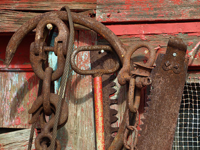 P9056051a.jpg