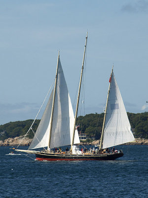 P9066756a.jpg