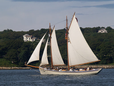 P9043086a.jpg