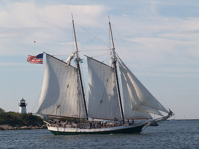 P9042907a.jpg